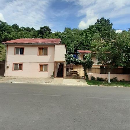 Casa Iza Appartement Băile Herculane Buitenkant foto