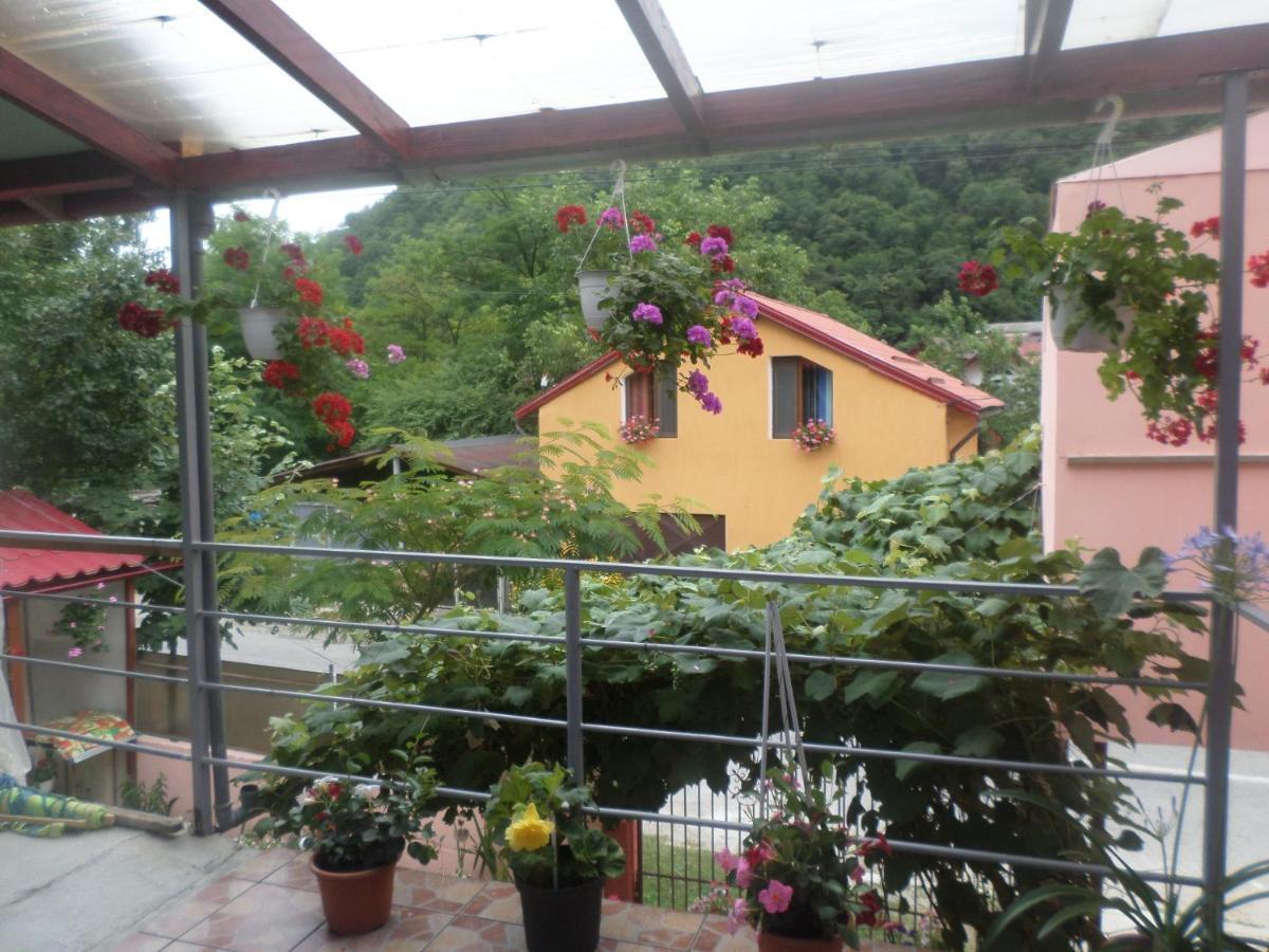 Casa Iza Appartement Băile Herculane Buitenkant foto