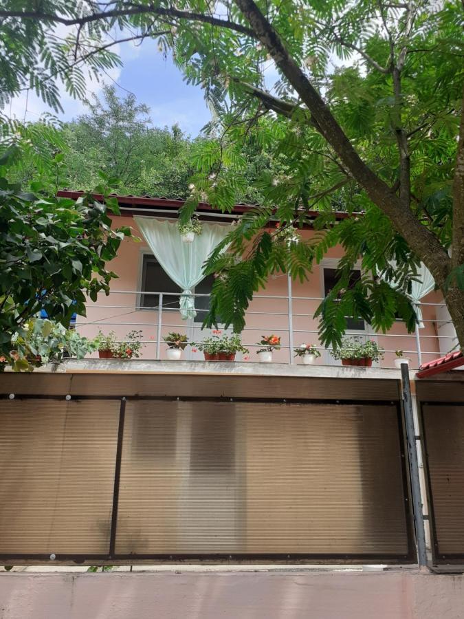 Casa Iza Appartement Băile Herculane Buitenkant foto