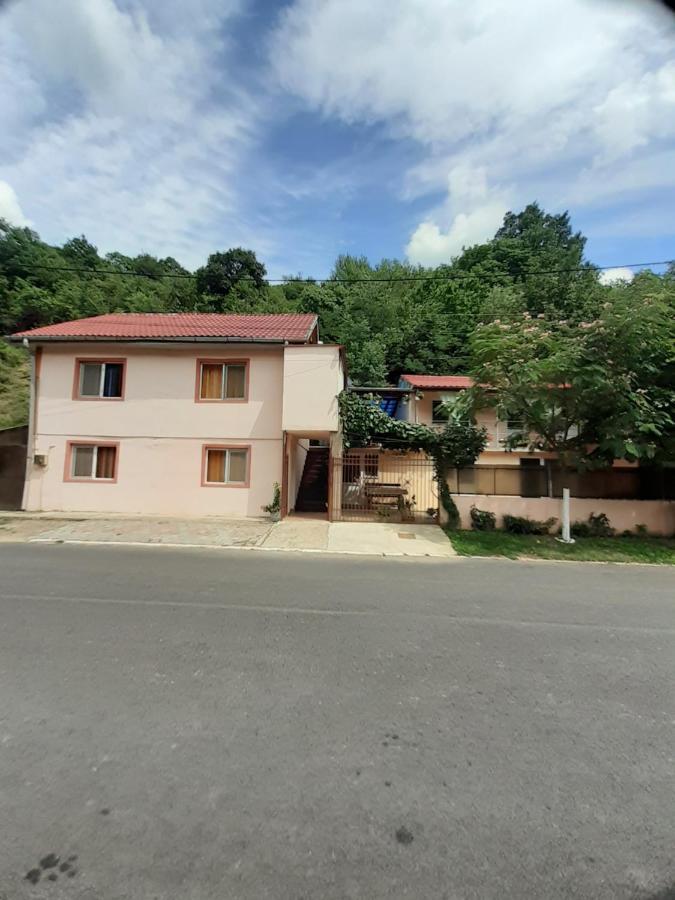 Casa Iza Appartement Băile Herculane Buitenkant foto